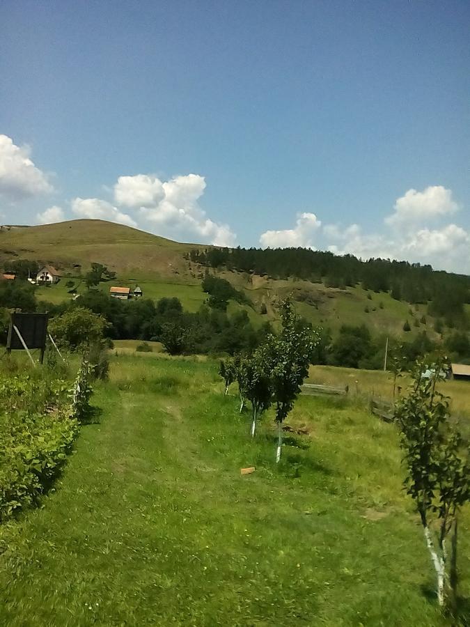 Holiday Home Vila Milka Kremna ภายนอก รูปภาพ