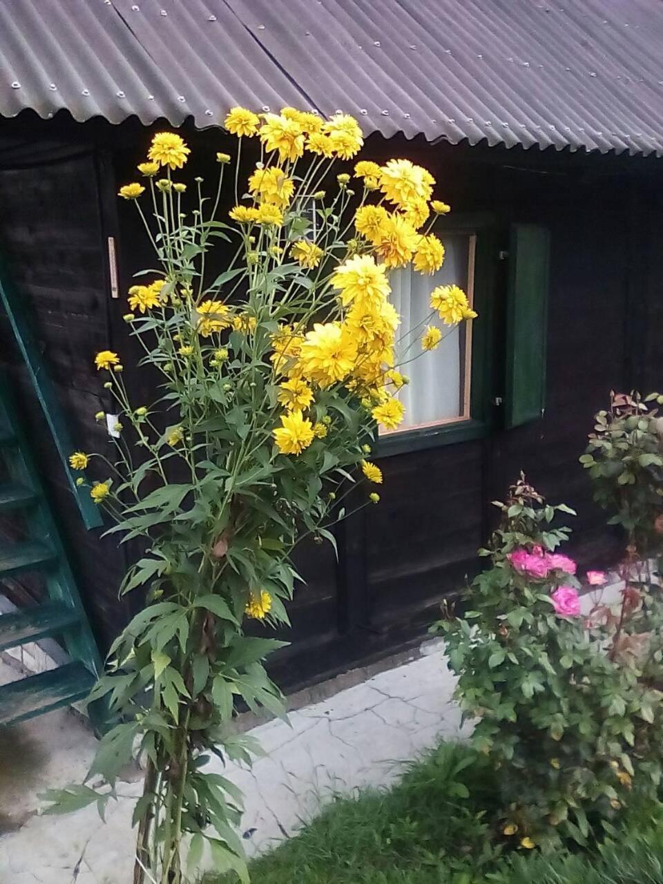 Holiday Home Vila Milka Kremna ภายนอก รูปภาพ